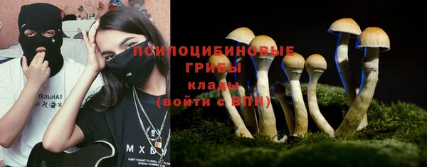 PSILOCYBIN Абдулино