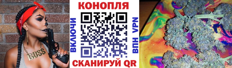 Каннабис план  закладки  Костерёво 